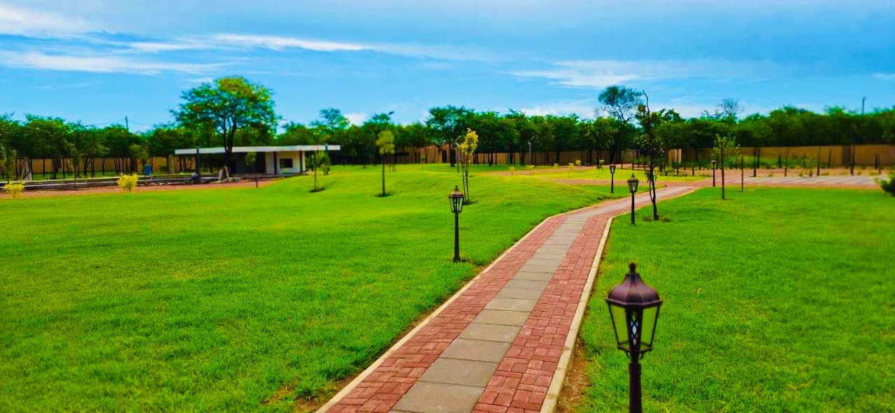 Open lawn for camping